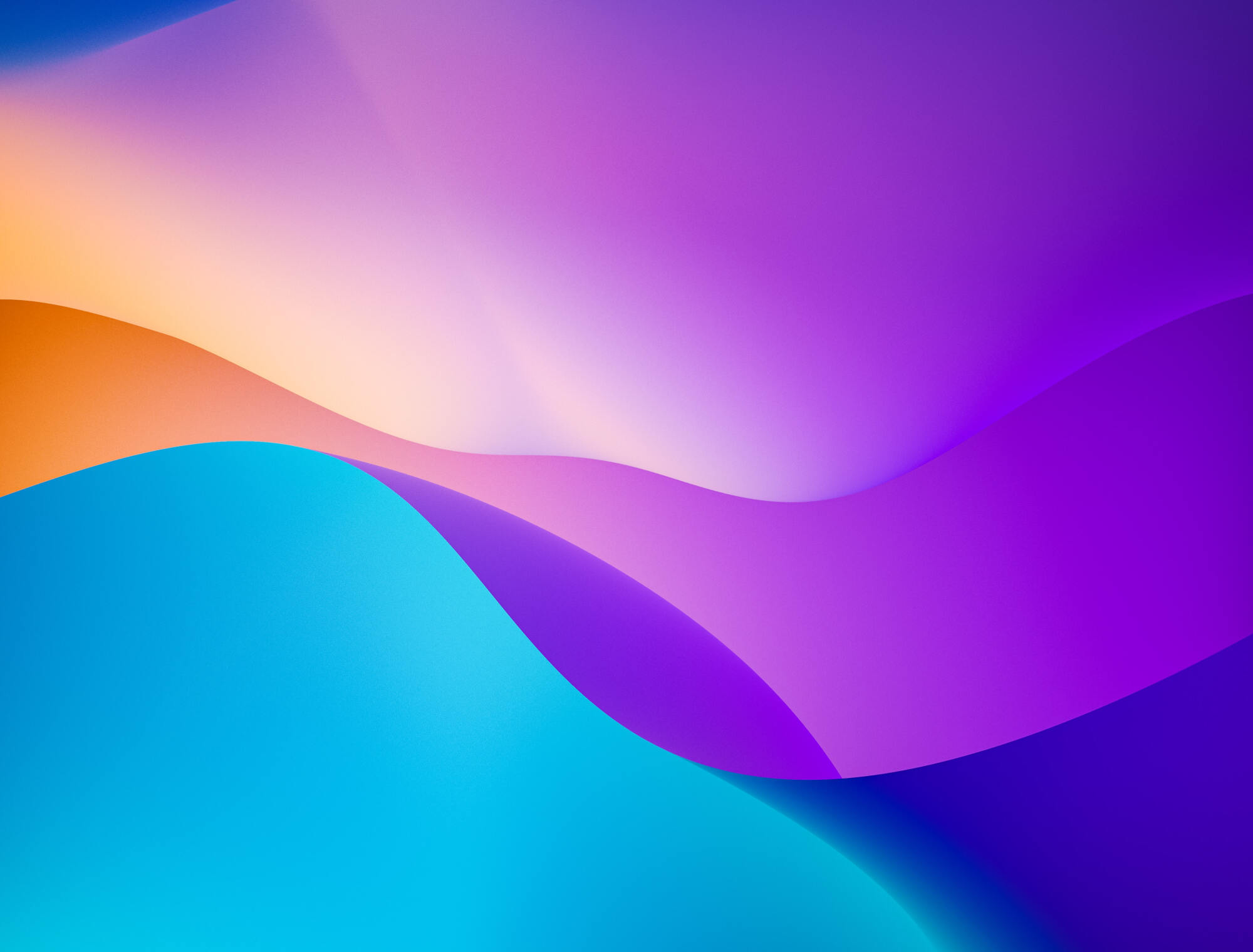 Uploaded Image